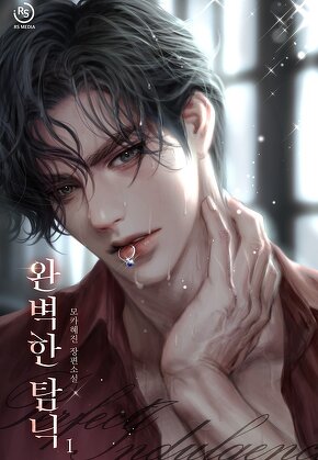 완벽한 탐닉 [단행본]