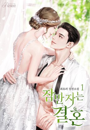 잠만 자는 결혼 [단행본]