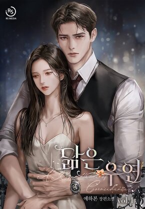 닮은 우연 [단행본]