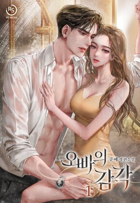 오빠의 감각 [단행본]