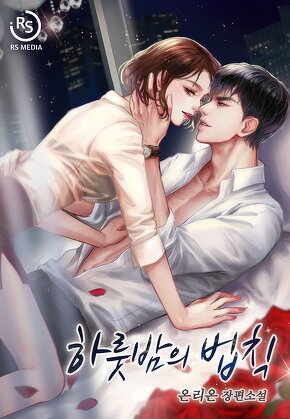 하룻밤의 법칙 [단행본]