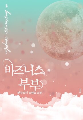 비즈니스 부부 [단행본]