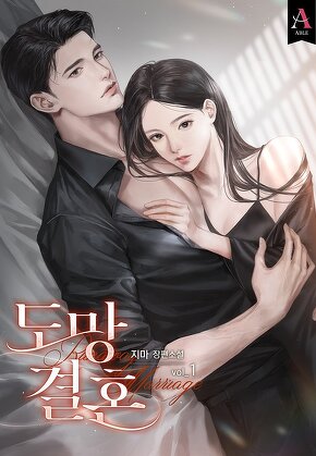 도망 결혼 [단행본]