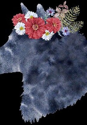 남작 부인이 늑대입니다